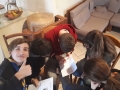 54