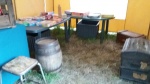 Resized_20170711_212212.jpeg